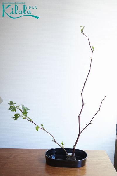 học cắm hoa Ikebana